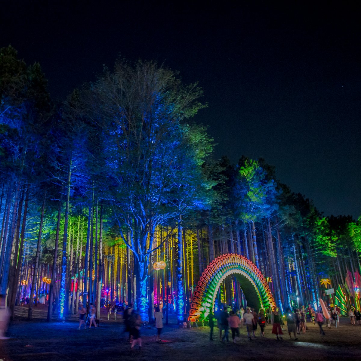 Image of an entrance in the shape of a rainbow and tall trees uplight in bright colors