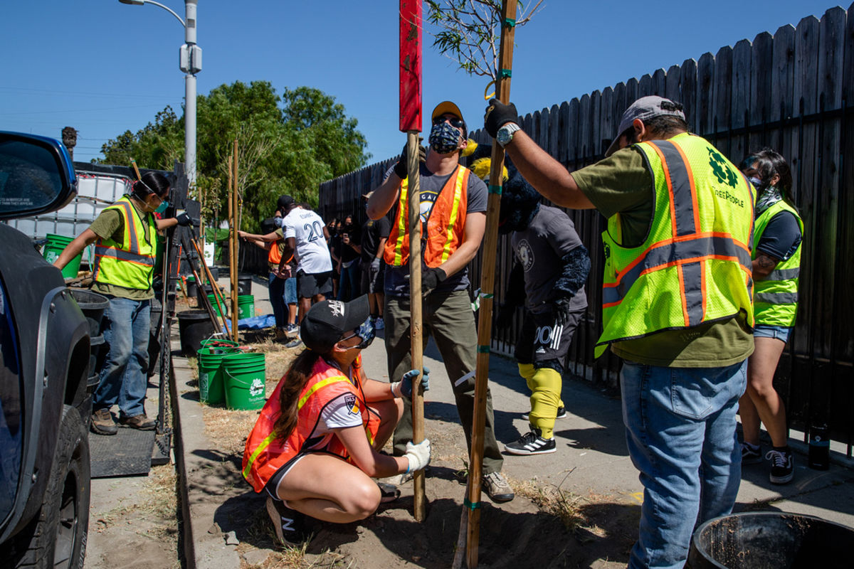 LA Galaxy staff and TreePeople employees work together to pound a stake in the ground for support, inches away from the newly planted tree in Watts, Los Angeles.
