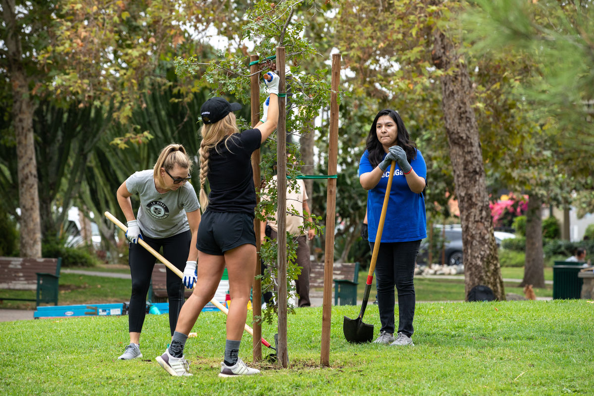 Volunteers help beautify the park.